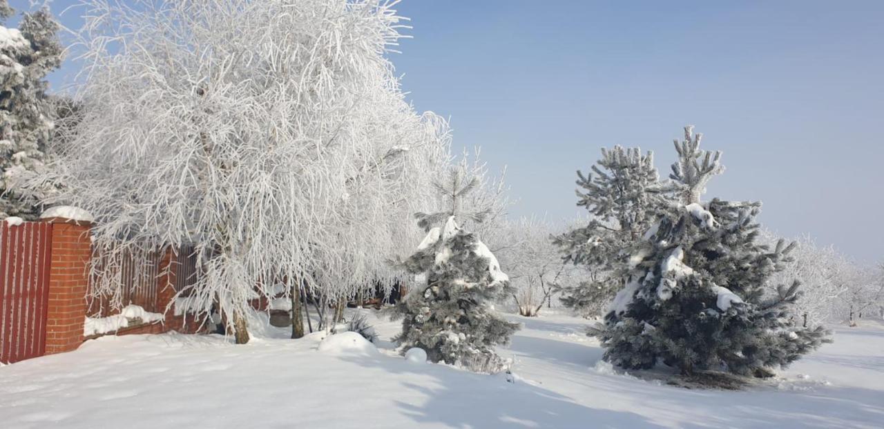 Bialowolskie Wzgorze Zamość Extérieur photo